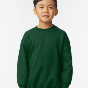 Youth SweatShirt